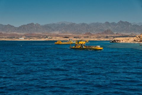 Ras Mohammed National Park