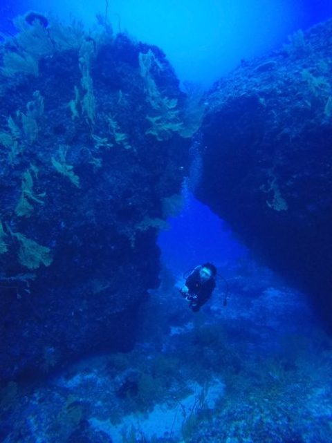 Street Diving & Shore Dives