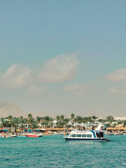 Sunset Felucca Sailing Cruise