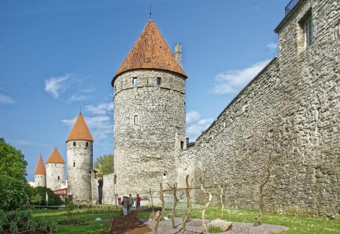 Tallinn Town Wall