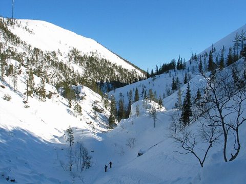 Pyhä-Luosto National Park