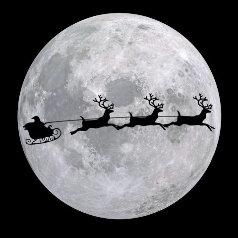Reindeer Sleigh Rides