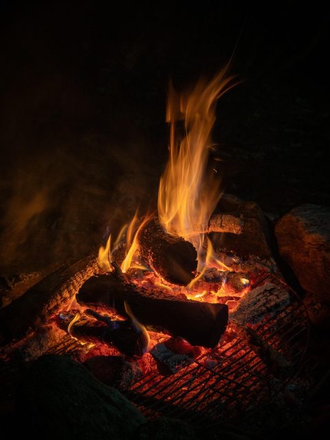 Wilderness Survival Course