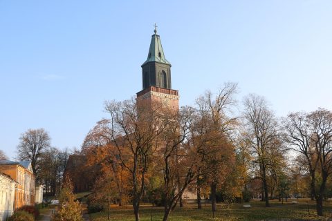 Medieval City Walking Tour