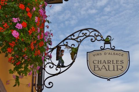 Alsace Wine Route Tours