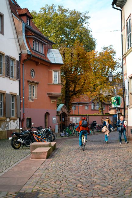 Bicycle Tours Along Wine Route