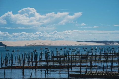 Arcachon Bay & Oyster Villages
