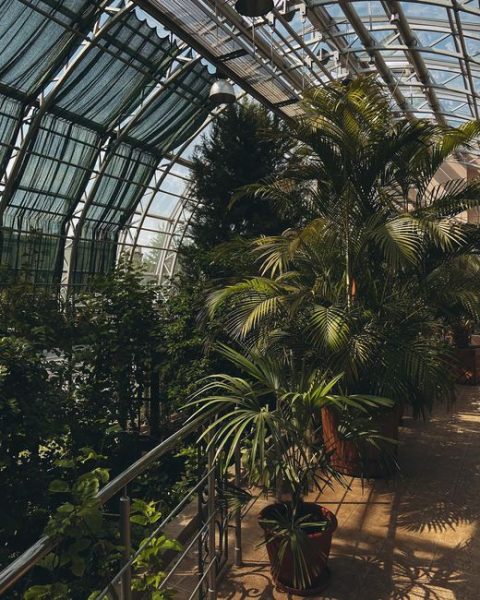Botanical Garden (Jardin de Brest)