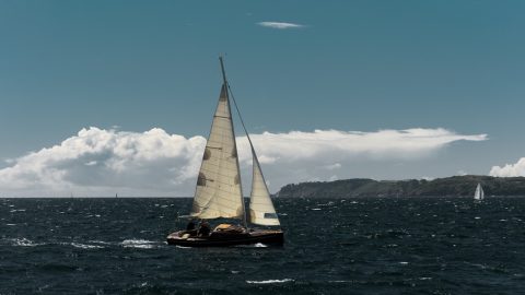 Sailing & Water Sports