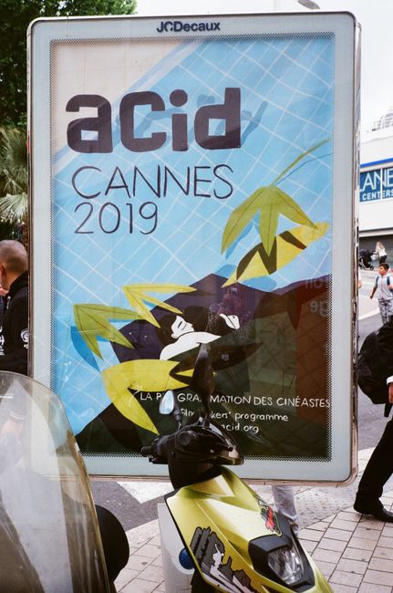 Cannes Lions and Festival Season Kickoff (MIPIM Echoes)