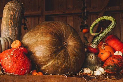 Fete du Vin et des Terroirs Autumn Harvest Celebration