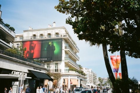 La Croisette Holiday Illuminations