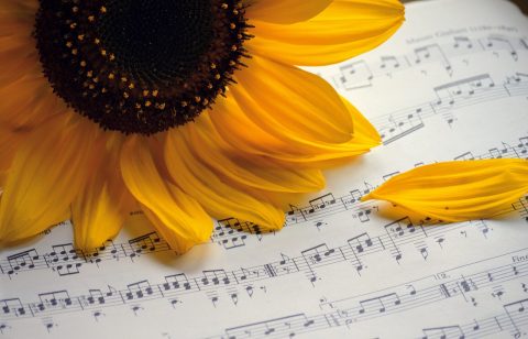 Nuits Musicales du Suquet Summer Concert Series
