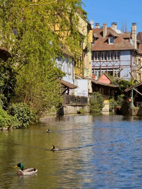 Quartier des Tanneurs (Tanners' District)