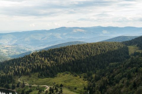 The Vosges Mountains