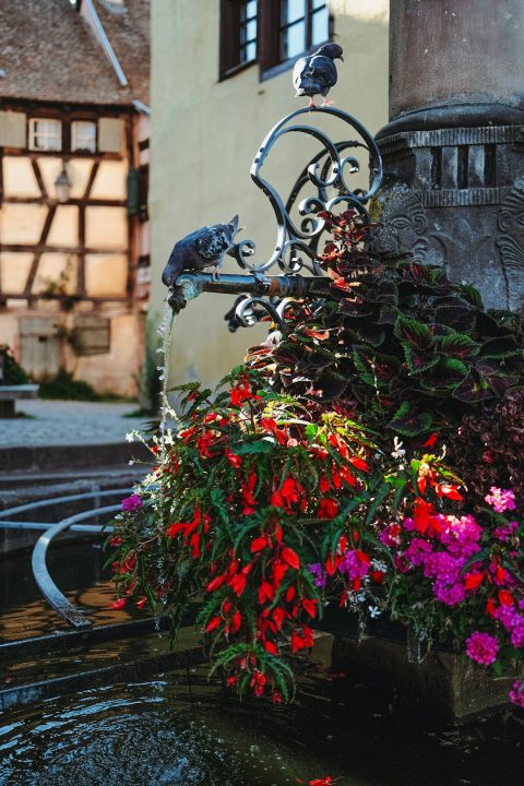 Unterlinden Museum Cloister Garden