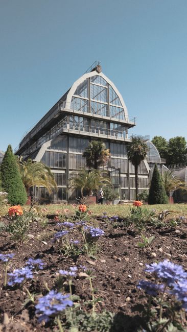 Botanical Garden (Jardin Botanique)