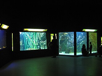 Lyon Aquarium (Aquarium du Grand Lyon)