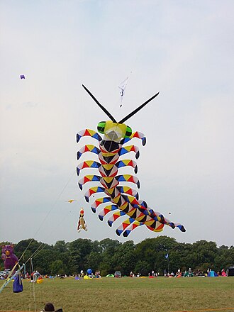 Fete du Vent (Kite Festival)