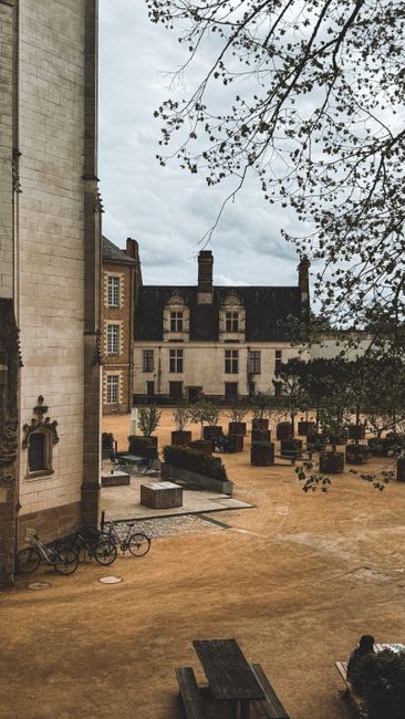 Musée de la Cour d'Or (Museum of the Golden Courtyard)