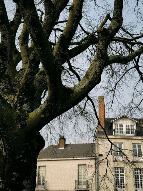 Parc de la Gauche