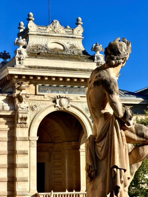 Nice Natural History Museum (Muséum d'Histoire Naturelle de Nice)