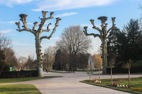Orangerie Park (Parc de l'Orangerie)