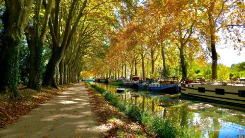 Canal du Midi Boat Tours