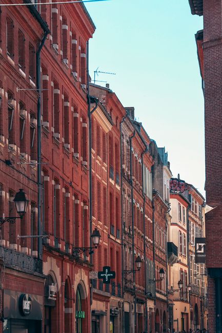City Walking Tours