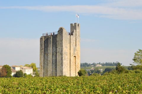 Saint-Émilion Wine Region