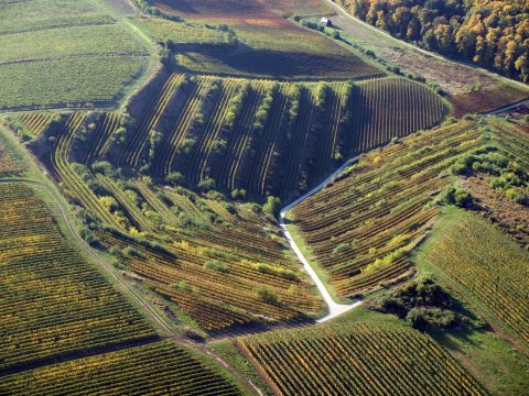 Imereti Wine Region