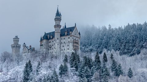 Neuschwanstein & Castles Day Trip