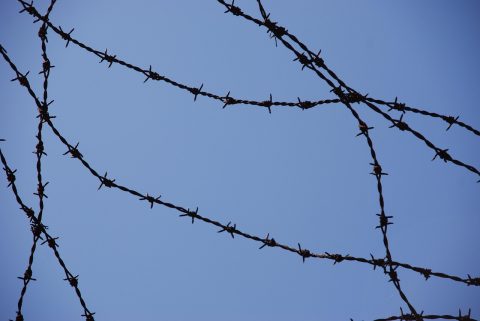 Sachsenhausen Concentration Camp Tour