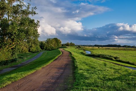 Düsselwald Nature Reserve