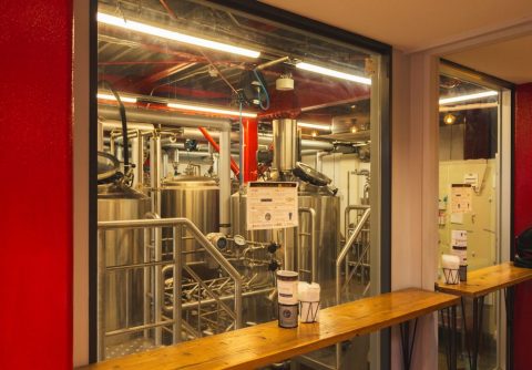 Kölsch Brewery Tours & Tastings