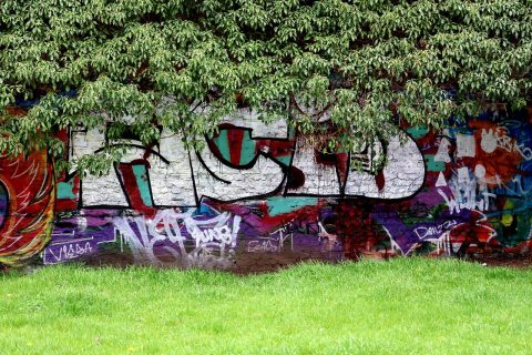 Street Art Tours (Ehrenfeld & Surrounding Districts)