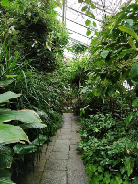 Botanical Garden