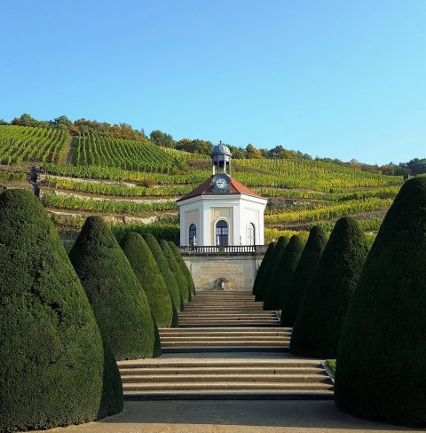 Radebeul Wine Region