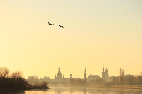 SKY Bar Dresden
