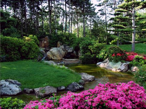 Japanese Garden at Nörpark