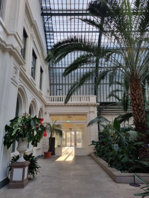 Palmengarten