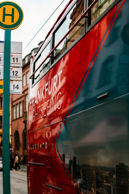Walking Food Tours