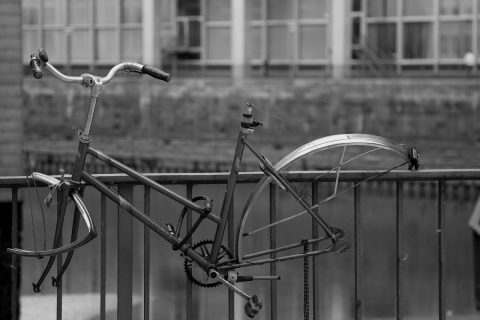 Bicycle Rentals