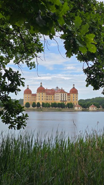 Moritzburg Castle