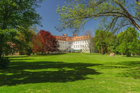 Tiefurt Park & Mansion