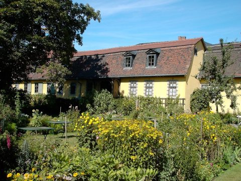 Wittumspalais (Dowager's Palace)