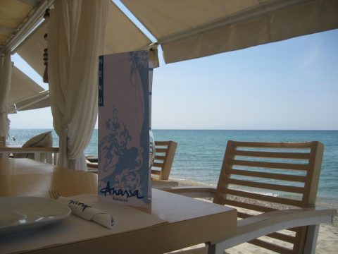 Camel Beach Bar