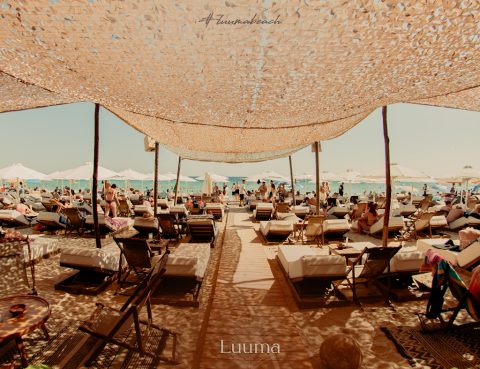 Luuma