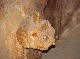 Petralona Cave