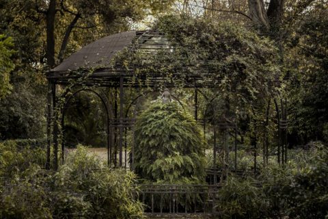 Botanical Garden